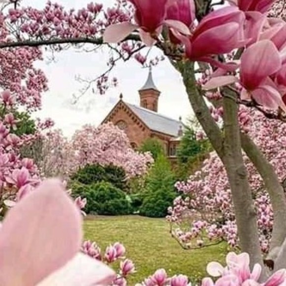 Meet your Posher, Ruth - Picture 1 of 1